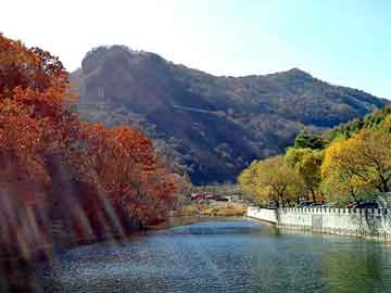 新澳天天开奖资料大全旅游团，夯实器